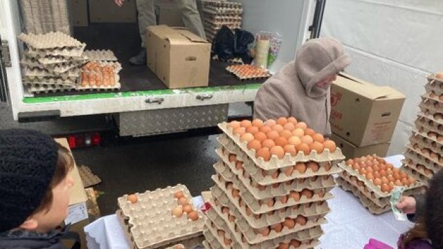 Первую партию турецких яиц поставили в Россию