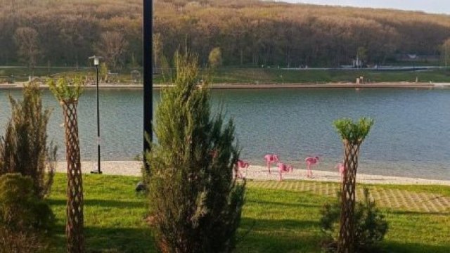 От плетеных ив до прогулочных лодок: как проходит подготовка Комсомольского пруда к открытию купального сезона