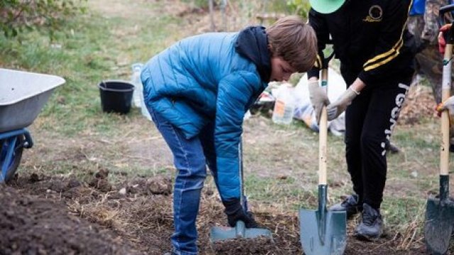 «Очень важно сохранить «легкие» нашего зеленого города»